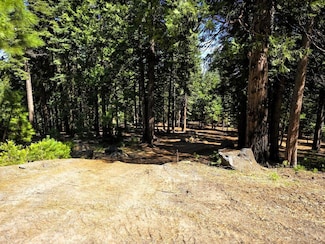 614 E Burnt Cedar Rd, Lake Almanor Country Club, CA 96137