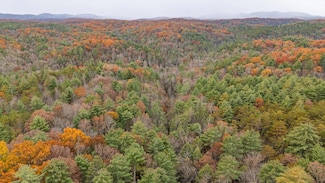 138 Bowater Rd, Tellico Plains, TN 37385