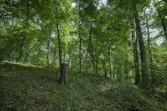 0 Kopper Pond Rd Unit LotWP001, Hanover, IL 61041