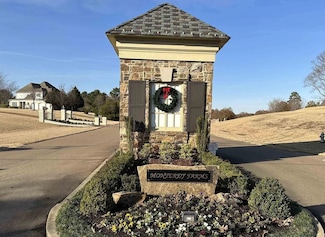 175 S Monterey Farms Cove, Collierville, TN 38017