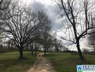 0 County Road 47 NE Unit 25.6 Acres 820498, Blountsville, AL 35031