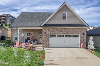 226 Quiet Stroll Ln, Johnson City, TN 37615
