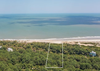 295 Pelican Flight Dr Unit Lot 16, Dewees Island, SC 29451