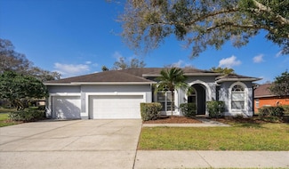 17102 Tiffany Lake Place, Lutz, FL 33549