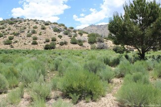 0 Caliente Creek Rd Unit 9979387, Caliente, CA 93518