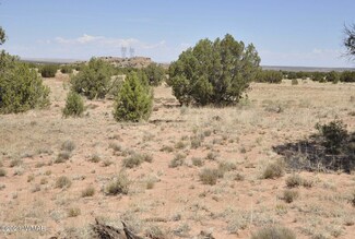 17 Cr N9211, Concho, AZ 85924