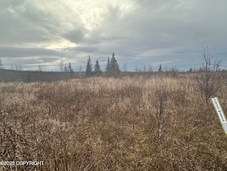 004 Wells St, Ninilchik, AK 99639