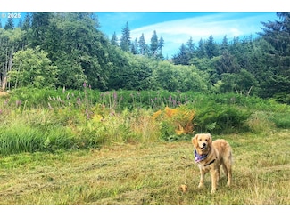 0 S Valley Rd Unit 5 733204809, Naselle, WA 98638