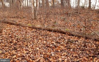 0 Sleepy Hollow Rd, Linden, VA 22642