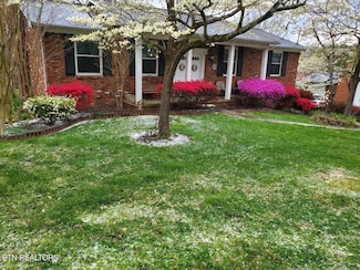 1005 Tokalon Dr, Knoxville, TN 37932