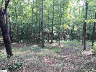 200 Darting Sparrow Way, Marietta, SC 29661