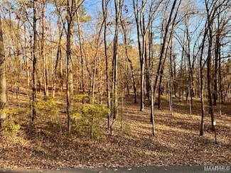 10 Westcott Dr, Wetumpka, AL 36093
