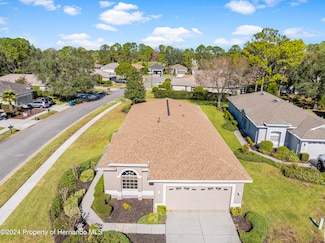 4201 Silver Berry Ct, Spring Hill, FL 34609