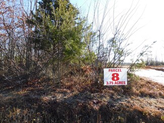 3.75 Strawberry Rd, Chatham, VA 24531