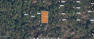 0 Paradise Lakes Ave Unit MFRO6231634, Georgetown, FL 32139