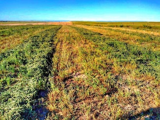 435 W Onion Creek Rd, Hardin, MT 59034
