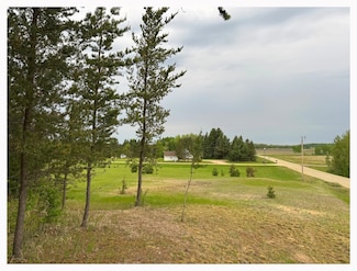 L5&6B1 Trophy Buck Rd SW, Grant Valley Township, MN 56601