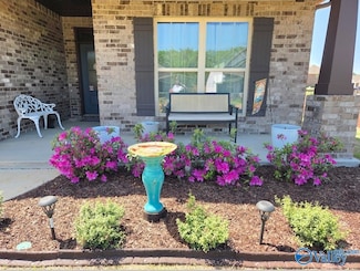 14141 Harvest Ridge Ln, Athens, AL 35611