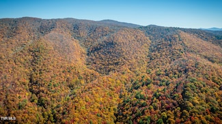 Tbd Bishop Rd, Laurel Bloomery, TN 37680