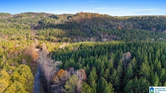 0 Aldridge Rd Unit 21405313, Cordova, AL 35550