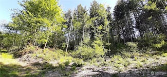 301 NE West J Way, Belfair, WA 98528