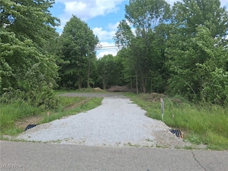 0 Love Warner Rd, Cortland, OH 44410