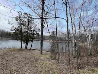 Lots 21 & 23 Birchwood Dr, Alger, MI 48610