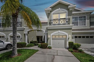 14177 Waterville Cir, Tampa, FL 33626