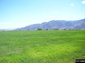 165 Jessen Rd, Wellington, NV 89444