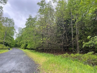 Land PIN 1 Forest Lane West 1001 W, Pocono Lake, PA 18347