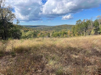 8604 Hwy 125 N, Peel, AR 72668