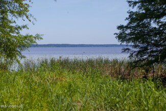 165 Bald Eagle Dr, Brandon, MS 39047