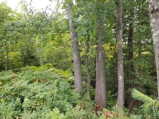 Lot 9&10 Richardson St, Mercer, WI 54547