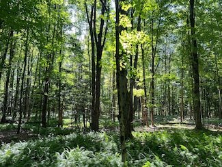 Van Buren Rd, Westdale, NY 13483