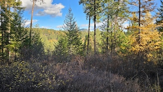 700 Dry Gulch Rd, Colville, WA 99114