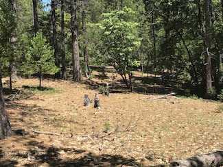 0 Phillips Rd Unit 25-2234, Oak Run, CA 96069
