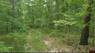 481 Timberline Rd, Willow Springs, MO 65793