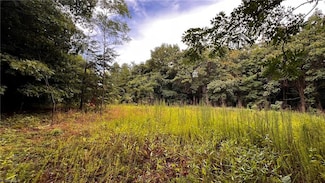 000 Russell Gap Rd, Moravian Falls, NC 28654