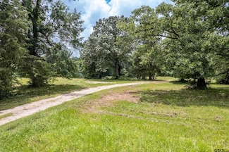 14546 US Hwy Us Highway 271, Tyler, TX 75708