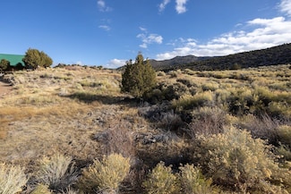 0 Lot 303 & 304 Unit 111594, Antimony, UT 84712