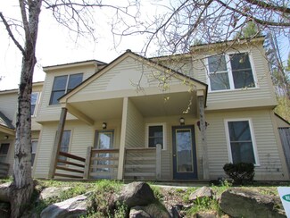 40 Potter Ln Unit 302, Enfield, NH 03748
