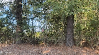 0 Attala Road 4041 Rd Unit 4126480, Kosciusko, MS 39090