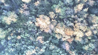 0 Buffalo Speedway Unit 93601896, Houston, TX 77054