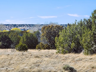 7 5084, Concho, AZ 85924