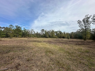 Mohawk Trail, Sneads, FL 32460