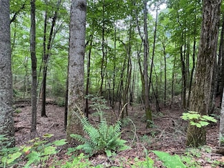 0 Quail Ridge Rd Unit 216 CAR4270788, Lake Lure, NC 28746