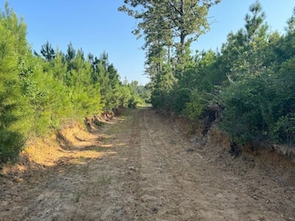 0 Tbd Dido Loop Unit LotWP001 21177277, Pitkin, LA 70656
