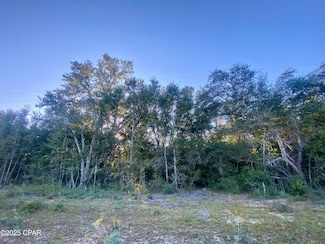 Lot 2 Coronado Ave, Alford, FL 32420