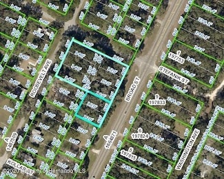 00 Broad St, Masaryktown, FL 34604