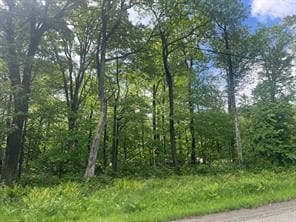 Lot 21 Village Run Rd, Jenner Township, PA 15531